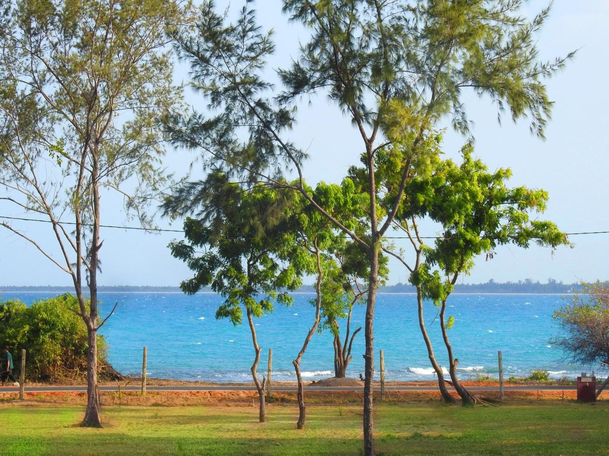 Coral Waves Pasikuda